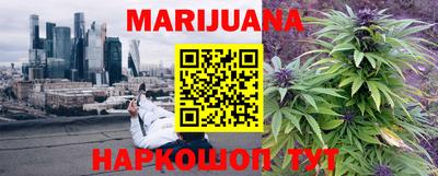спиды Обь