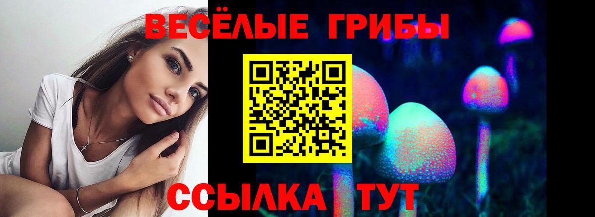Псилоцибиновые грибы мухоморы Сорочинск